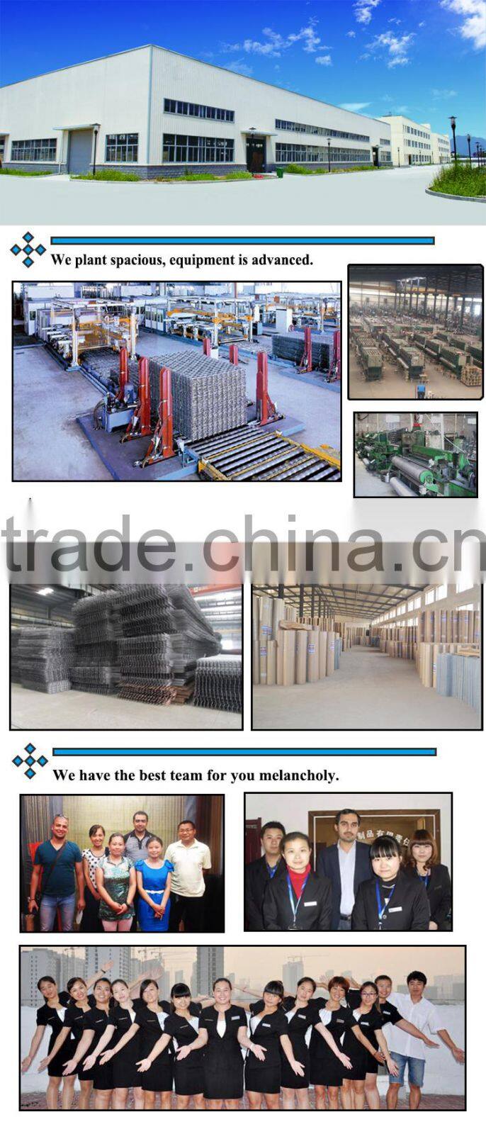 stainless steel crimped wire mesh/galvanized crimped wire mesh