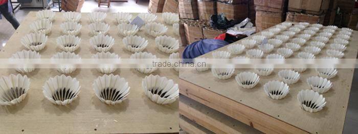 Goose Feather Victor Aeroplane Shuttlecock Badminton