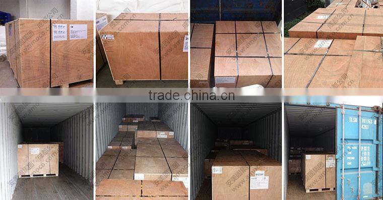 Family Size Membrane Biogas Dome, Biogas Storage Bag, for biogas digester