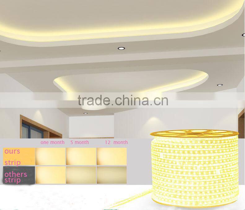 3014 220V high lumen super brightness decoration led strip light