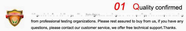 Painted scaffolding ladder main frame