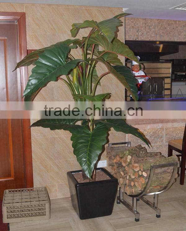 Corridor Decor Large Artificial Taro Plant