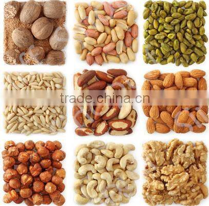 Electrical Nut Roaster Peanut Roasting Machine For Peanut Processing Industry