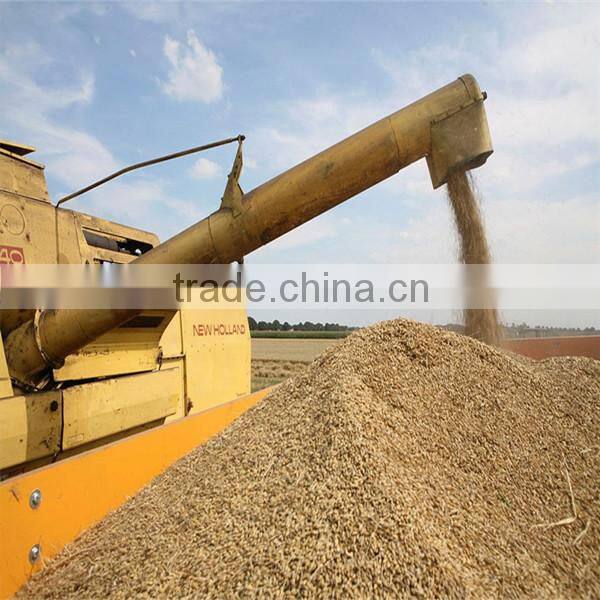 bulk malted barley of Australia origin
