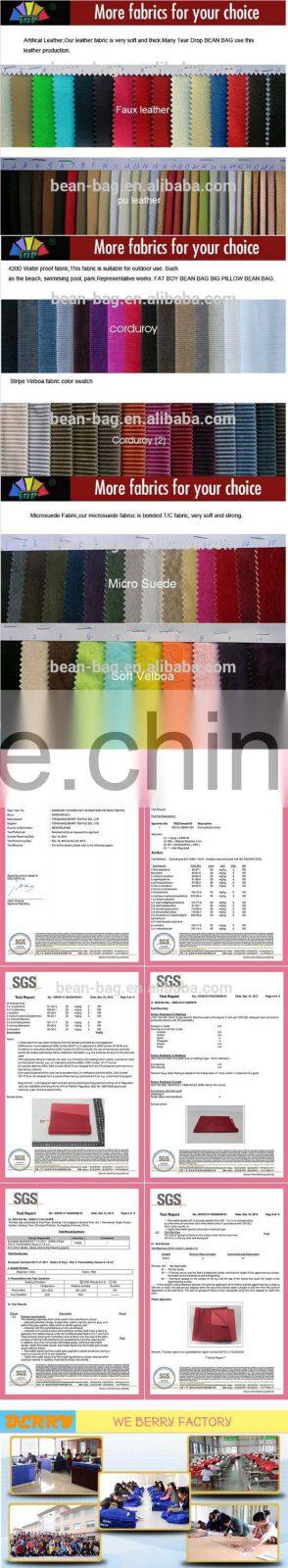 Living Room Furniture Waterproof Pillow Beanbag Sofa Chair