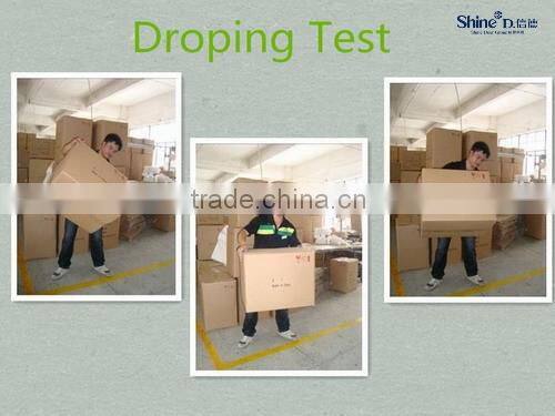 polyresin t rex dinosaur skull animal skeleton wholesale interior decoration