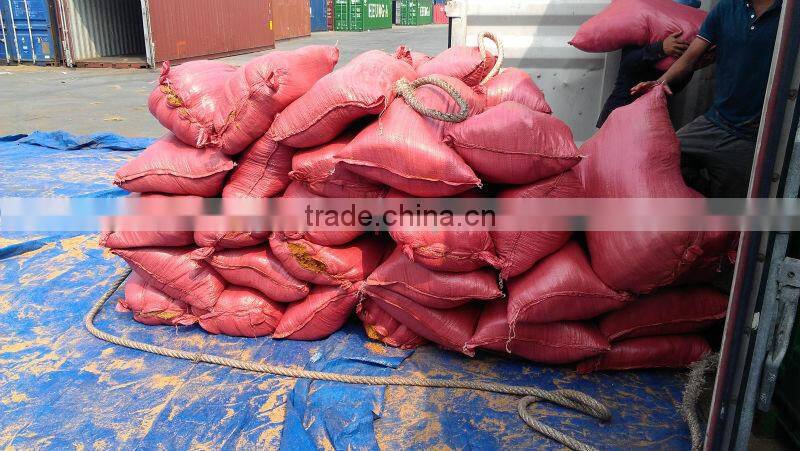 Loose Cocopeat (Qiu Qiu : 2598494113)