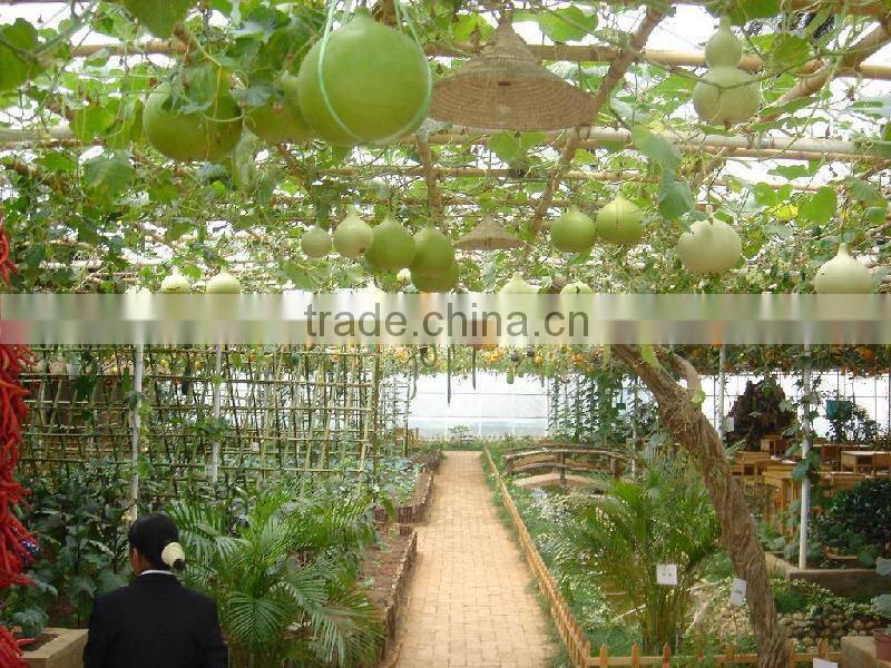 polycarbonate supplier,polycarbonate factory,polycarbonate manufacturer