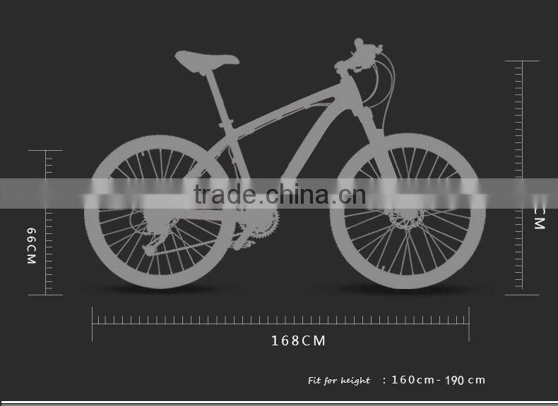 Popular design Complete carbon fiber mountain bicycle made in China for sale/Carbon fibre Mountain bike frame