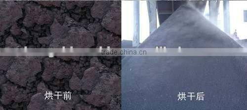 Popular Chicken Manure Dryer