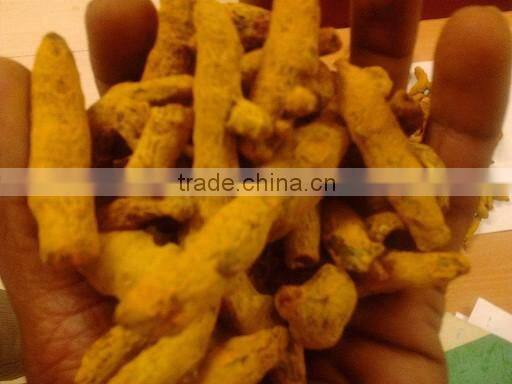 Turmeric Finger, Erode Turmeric Finger, Nizamabad Turmeric Finger