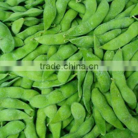 IQF Fresh Soybeans