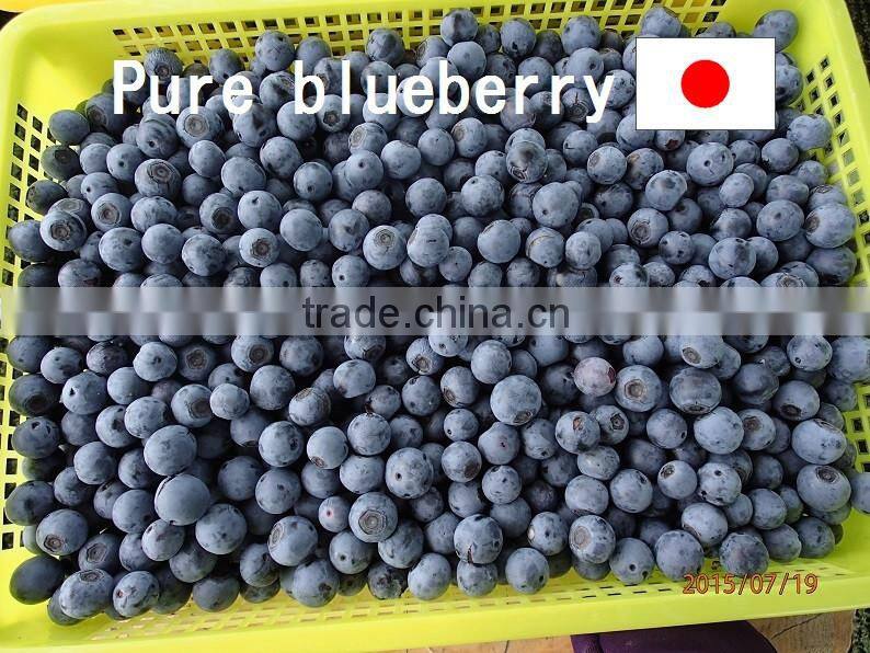 Japanese High Quality Blueberry Jam 150g