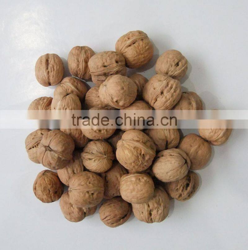 common Thin skin Walnuts in Shel, Unshelled Walnuts