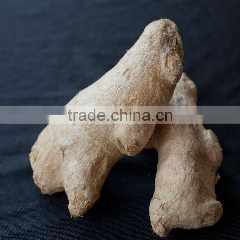 AD type 100% pure HACCP/OU/ISO dried ginger price