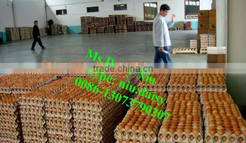 automatic egg weighing grading machine/egg grading packing machine/egg grader for packing