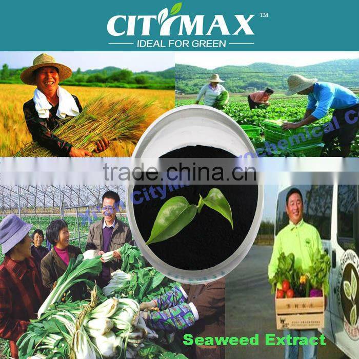 100% soluble seaweed for sale