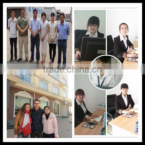 358 anti-climb security fence (factory ) china high security fence