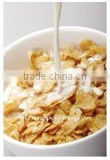 Corn flake machinery /Breakfast Cereals processing /making machine/equipment