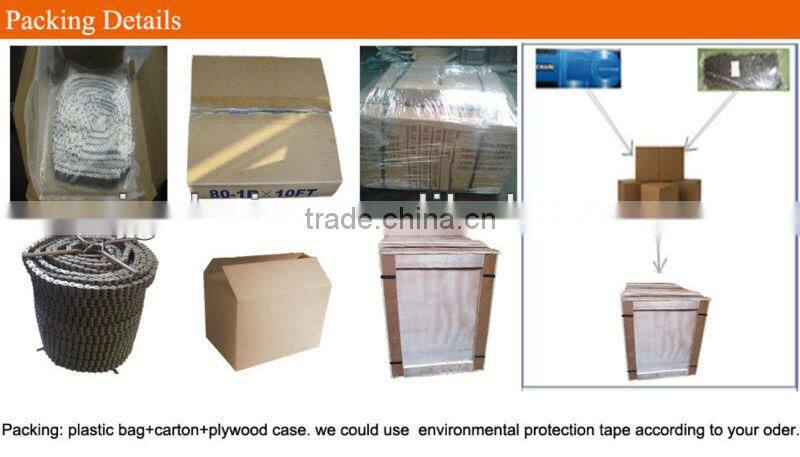 15.875mm Pitch drag chain conveyor