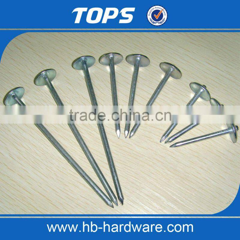 Smooth shank galvanized roofing nails/gal roofing nails