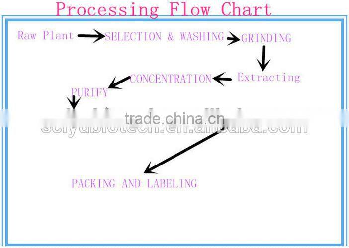 Korea Market of Seabuckthorn Powder Sea buckthorn Fruit Powder