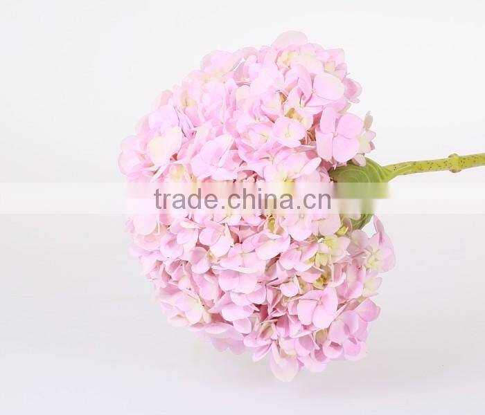 Best Price Fresh Cut Processing Type Natural Hydrangea Wholesale From Yunnan ,China