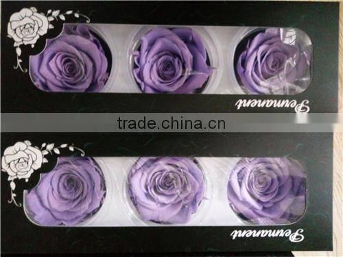 everlasting rose A grade 6 to 7 cm preserved rose from Yunnan
