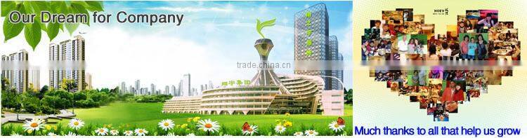 High Quality Plastisol Heat Transfer Printing Method T-shirt Logo Printed