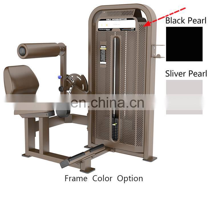 Dhz Fitness E5073 Commercial Abs Exercise Abdominal Machine Gym For Sale