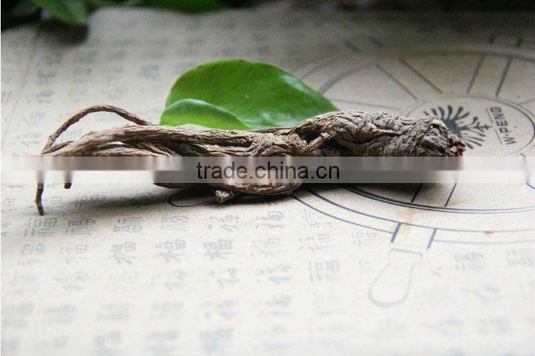 Angelica,Angelica sinensis,Chinese angelica,Food seasoning