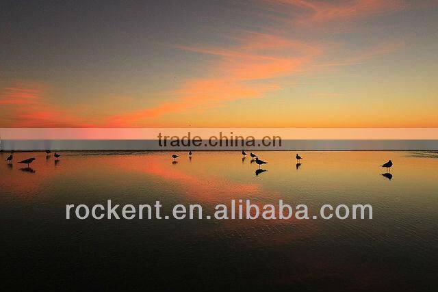 Canon EF-S 10-22mm f3.5-4.5 USM