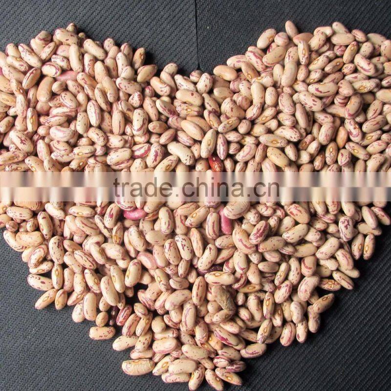 Private Label Organic Hulled Hemp Seed,Hemp Seeds,Shelled Hemp Seeds