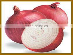 New Red onion
