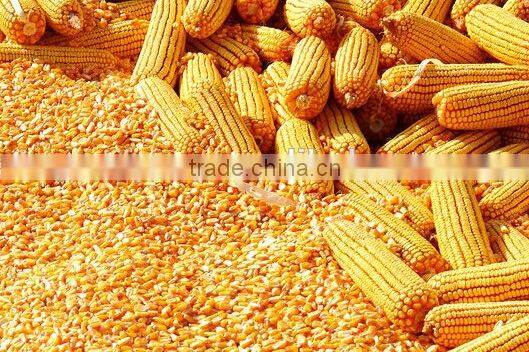 Agricultural corn sheller machine