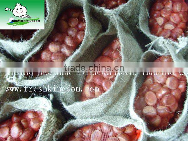 price chestnuts,health food,buy chestnuts