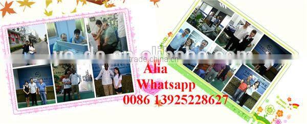 6090 glass uv flatbed printer glass uv printer with DX5 heads (2880dpi ,high quality)