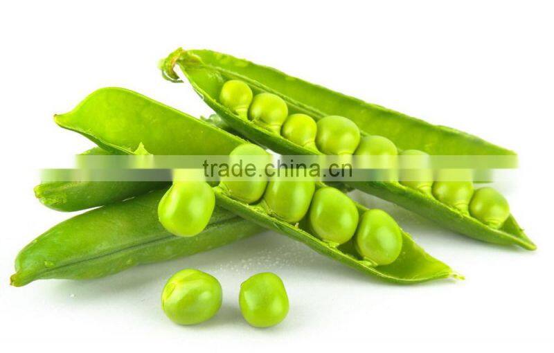 Halal Approval Canned Green Peas