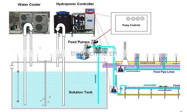NFT hydroponics cultivation system for lettuce