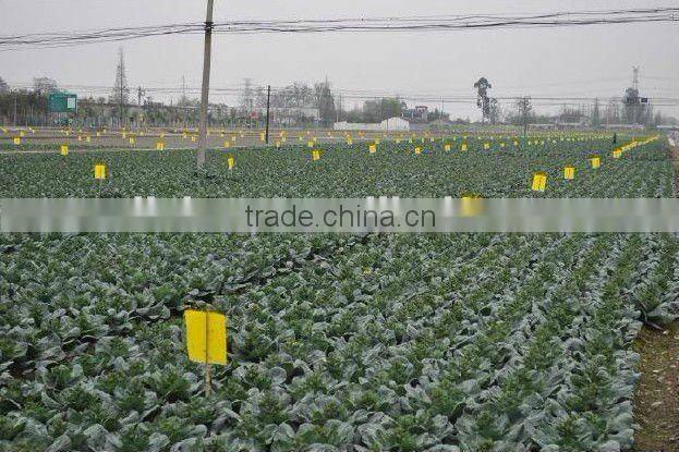 Hot Sale strong adhesive fly trap,yellow board insect killer,fly ribbon ,fly catcher