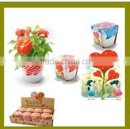Specialized boxes for gifts DIY mini bonsai promotional gifts for teenagers , corporate anniversary gifts