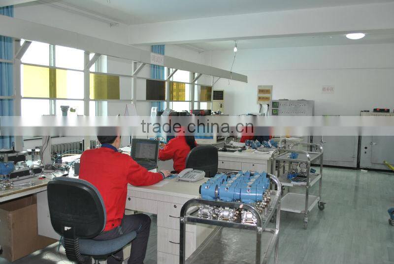 Smart MD-3051 Online density meter