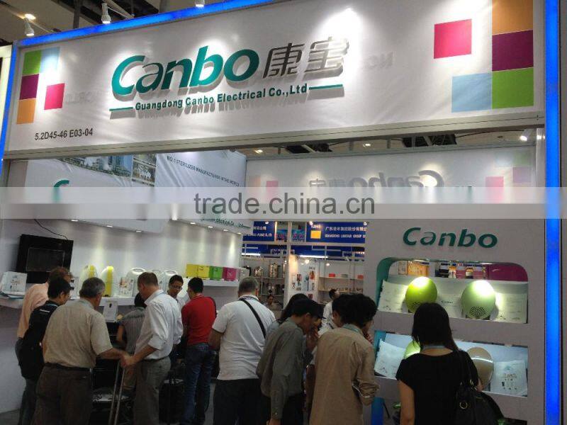 Hot design ,steam oven /Portable electric convection oven/Electric steaming baking oven TS05