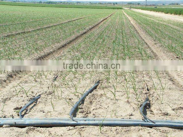 DRIP IRRIGATION