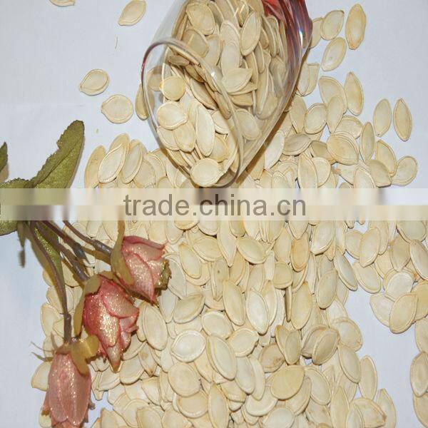 Harvest good quality pumpkin seeds