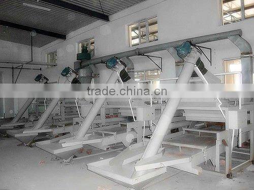 2011 crop sunflower seed kernels chips broken kernels