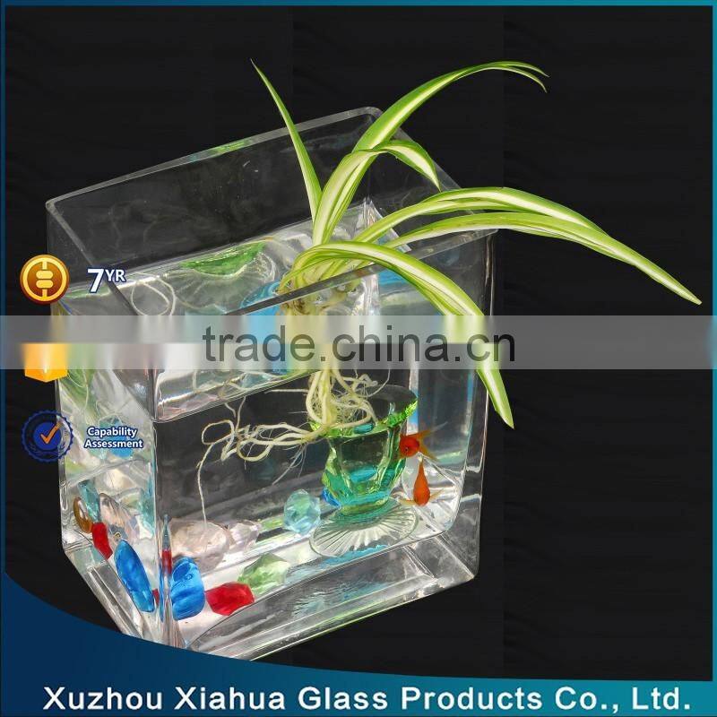 rectangle glass terrarium