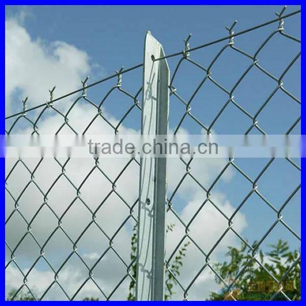 DM professional hot dipped galvanized Chain Link Fence from Chinese factory