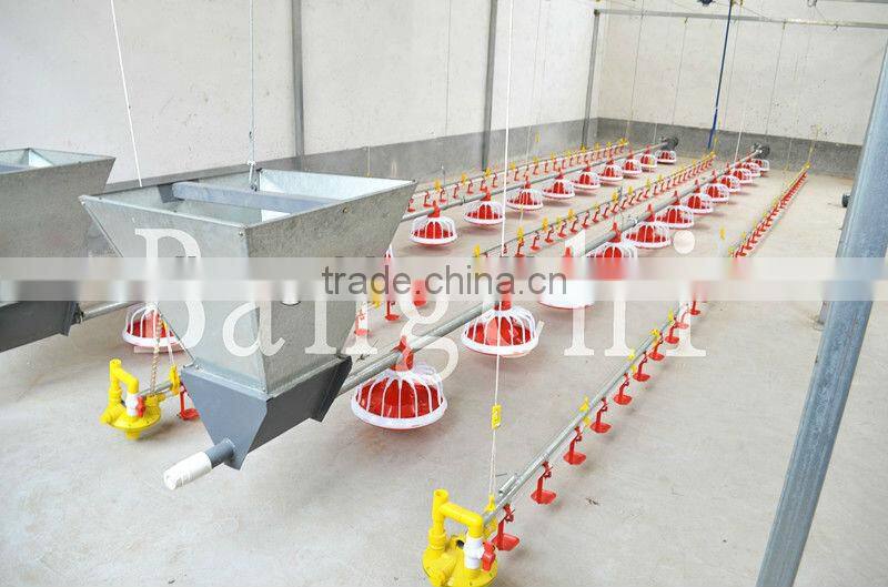 Automatic Broiler Feeding Line For Poultry