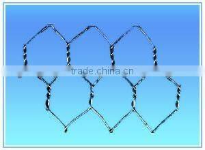 Chicken Wire Netting/Hexagonal Wire Netting/Poultry Hexagonal Mesh